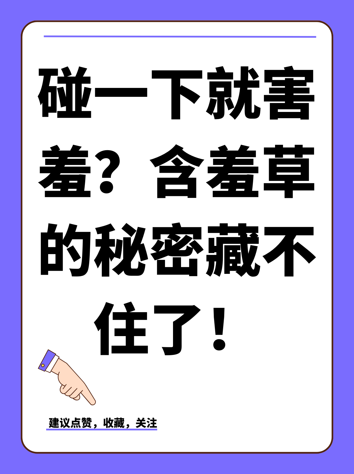 害羞的解释